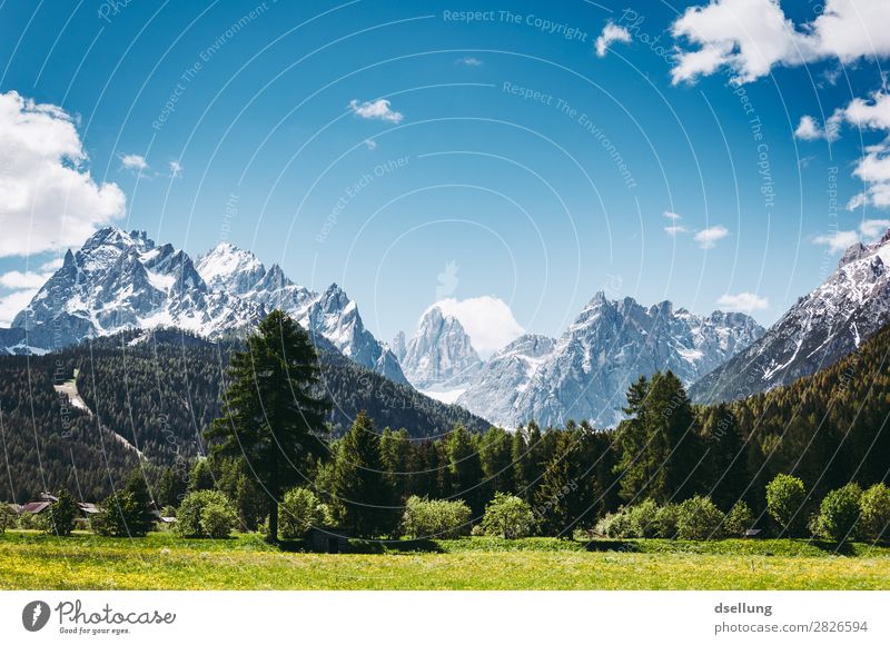 Berggipfel mit Wald im Vordergrund Panorama (Aussicht) Starke Tiefenschärfe Kontrast Schatten Licht Tag Morgen Textfreiraum oben Menschenleer Außenaufnahme