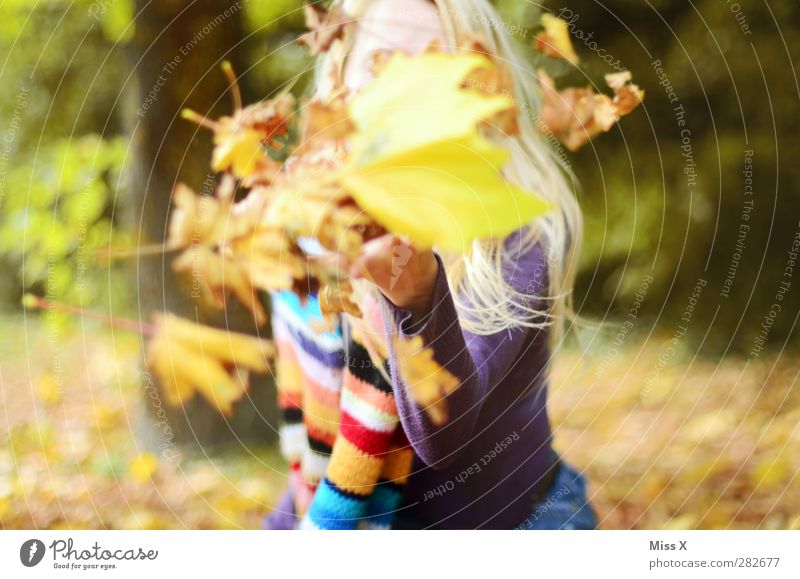 Herbststurm Mensch feminin 1 18-30 Jahre Jugendliche Erwachsene Schönes Wetter Blatt Park Wald Schal blond langhaarig Fröhlichkeit positiv gelb Freude blasen