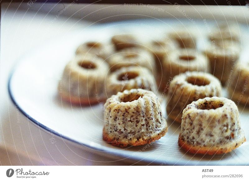 Kleine Gugelhupfe Kuchen Süßwaren Ernährung Kaffeetrinken kaufen Feste & Feiern Muttertag Geburtstag trendy schön süß Mohn Muffin niedlich Menschenleer backen