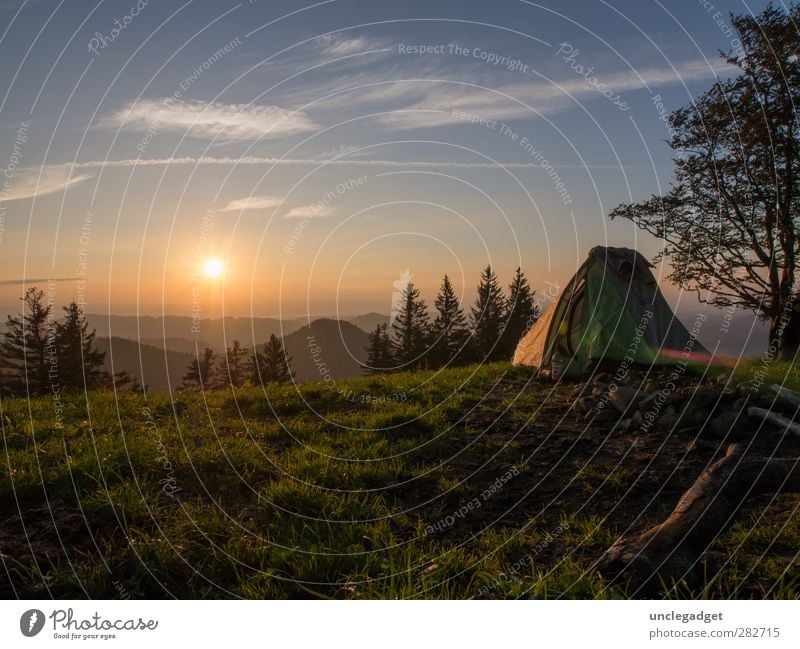 Draussen Wohlgefühl Zufriedenheit Erholung ruhig Freizeit & Hobby Ferien & Urlaub & Reisen Ausflug Abenteuer Ferne Freiheit Camping Sommer Sonne