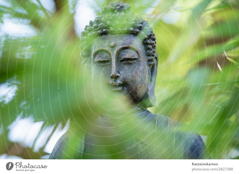 Buddah im Zengarten 2 Lifestyle Stil Wellness harmonisch ruhig Tourismus Häusliches Leben Wohnung Garten Dekoration & Verzierung Gesundheitswesen Stein Zeichen