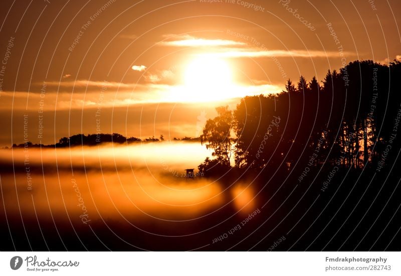 The White Sea Ferien & Urlaub & Reisen Tourismus Sonne Umwelt Natur Landschaft Himmel Sonnenaufgang Sonnenuntergang Sonnenlicht Herbst Nebel Baum Wald atmen