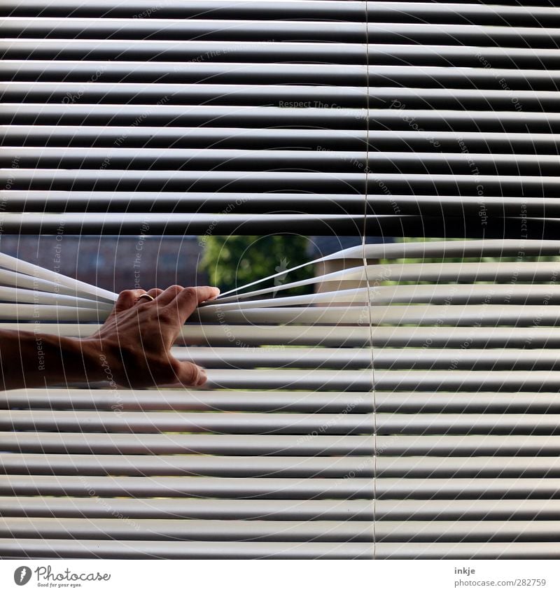 blues Häusliches Leben Wohnung Jalousie Fensterblick Hand 1 Mensch Garten festhalten Blick dunkel lang trist Gefühle Stimmung Langeweile Unlust Fernweh