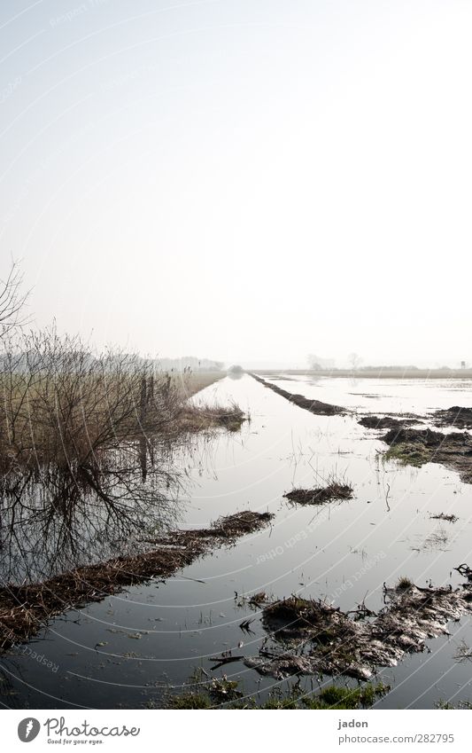 überfluss Umwelt Natur Landschaft Wasser Himmel Wolkenloser Himmel Horizont Sonnenlicht Klimawandel Wetter Unwetter Pflanze Feld Flussufer Moor Sumpf Bach