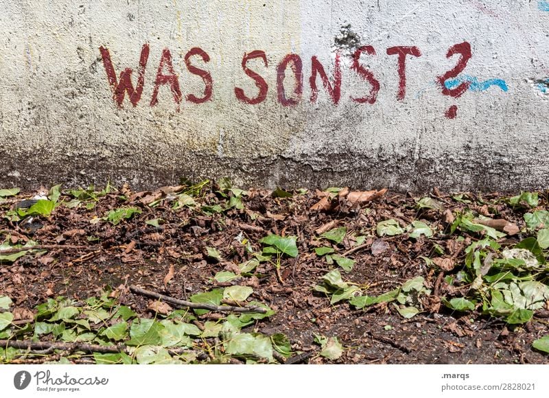 WAS SONST? | Geschriebenes Blatt Boden Mauer Wand Schriftzeichen Graffiti alt dreckig Stadt Beratung Kommunizieren was sonst Fragen Fragezeichen Farbfoto