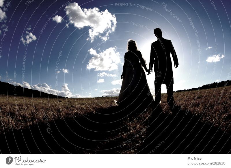 together Hochzeit maskulin feminin Paar 2 Mensch Umwelt Natur Landschaft Himmel Wolken Schönes Wetter Wiese Feld Kleid Anzug Zusammensein Liebe Verliebtheit