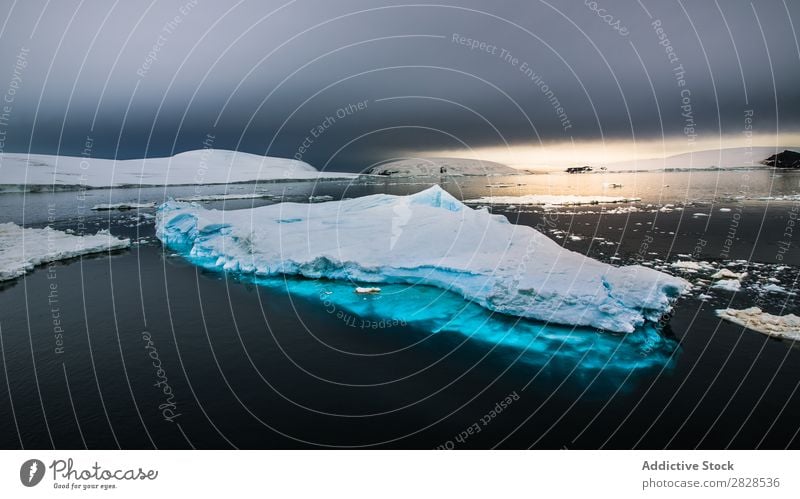 Antarktis Wildnis Naturlandschaft Eis kalt Meer Süden Eisberg Schnee Erwärmung Tierwelt polar Klima Vogel Pinguin Kolonie Außenaufnahme weiß Bucht Landschaft