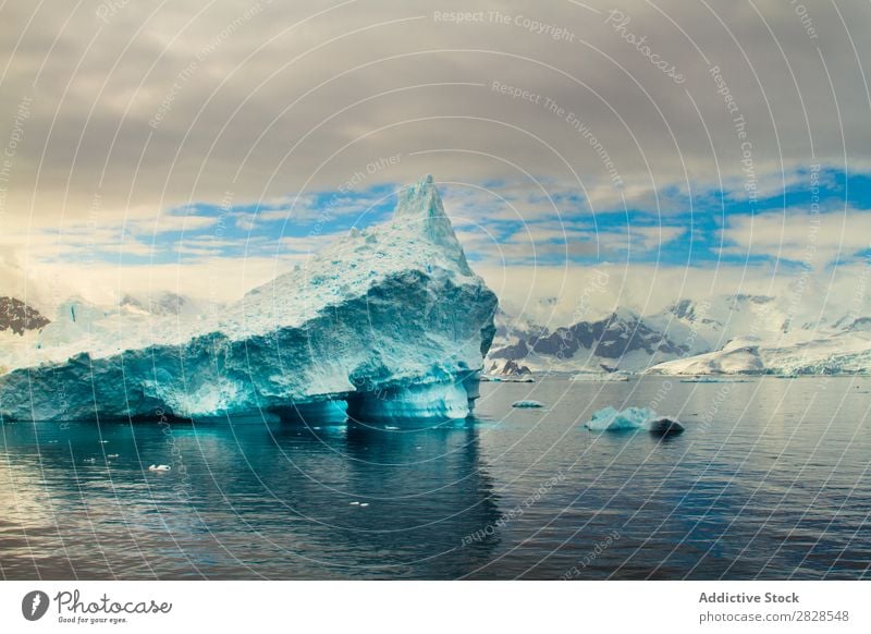 Antarktis Wildnis Naturlandschaft Eis kalt Meer Süden Eisberg Schnee Erwärmung Tierwelt polar Klima Vogel Pinguin Kolonie Außenaufnahme weiß Bucht Landschaft