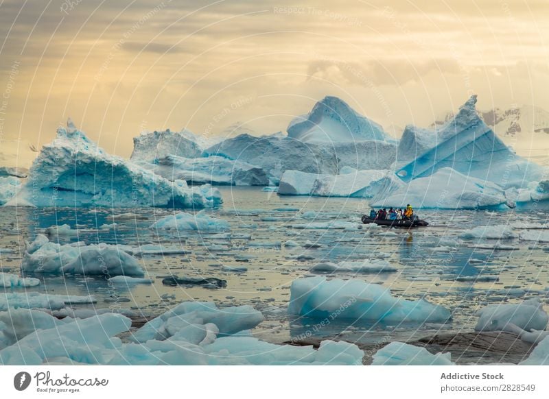 Antarktis Wildnis Naturlandschaft Eis kalt Meer Süden Eisberg Schnee Erwärmung Tierwelt polar Klima Vogel Pinguin Kolonie Außenaufnahme weiß Bucht Landschaft