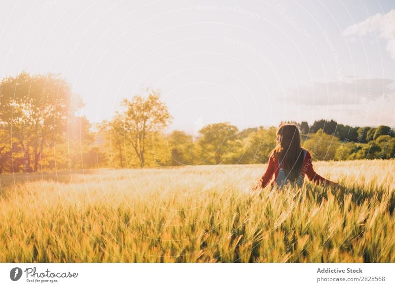 Frau geht auf dem Feld spazieren laufen genießen Abend Natur schön Mädchen Beautyfotografie Jugendliche Gras Wiese Freiheit Fröhlichkeit Sonne Herbst Lifestyle