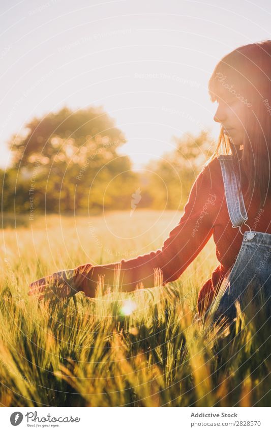 Frau geht auf dem Feld spazieren laufen genießen Abend Natur schön Mädchen Beautyfotografie Jugendliche Gras Wiese Freiheit Fröhlichkeit Sonne Herbst Lifestyle