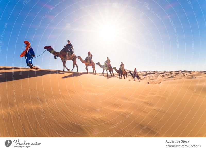 Kamelkaskade in der Wüste Karavane Ferien & Urlaub & Reisen Sand Düne Barchan Weg Unendlichkeit Horizont Landschaft Natur Himmel Sonnenstrahlen Aussehen Hügel