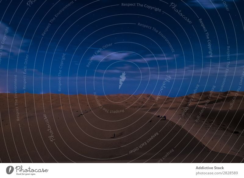 Dämmerung in der Wüste Sand Abenddämmerung dunkel Landschaft Natur regenarm Sonnenuntergang Düne Horizont Morgendämmerung halbdunkel Beautyfotografie Licht blau