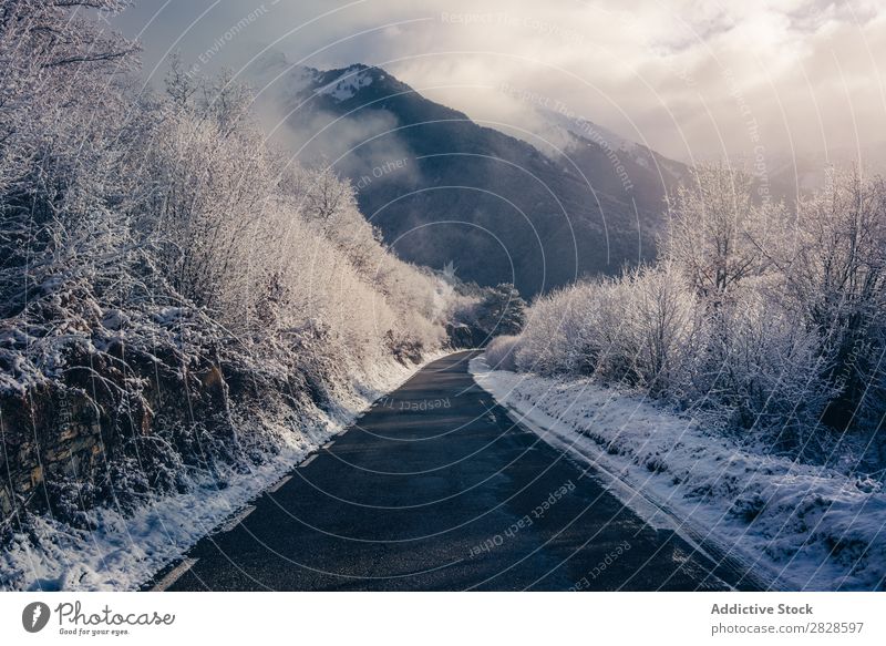 Kleine Straße in schneebedeckten Bergen Natur Winter Berge u. Gebirge Asphalt Landschaft Schnee Ferien & Urlaub & Reisen Himmel Eis schön weiß Jahreszeiten kalt