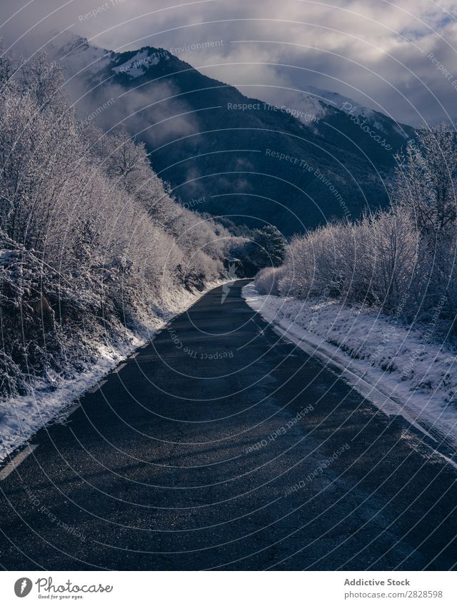 Kleine Straße in schneebedeckten Bergen Natur Winter Berge u. Gebirge Asphalt Landschaft Schnee Ferien & Urlaub & Reisen Himmel Eis schön weiß Jahreszeiten kalt