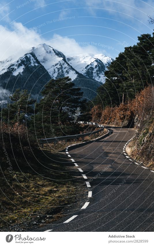 Asphaltstraße in die Berge Natur Berge u. Gebirge Straße Landschaft Schnee Ferien & Urlaub & Reisen Himmel Eis schön weiß Jahreszeiten kalt gefroren Frost