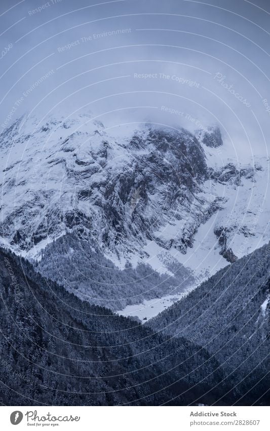 Blick auf den nebligen Berg Berge u. Gebirge Winter Nebel Natur Landschaft Schnee Ferien & Urlaub & Reisen Aussicht Himmel Hügel kalt Wald Wolken schön