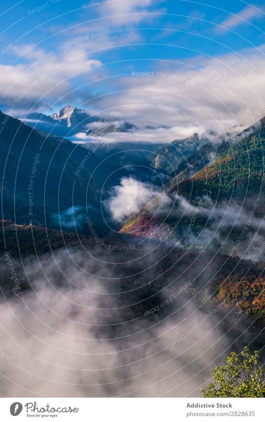 Malerischer Blick auf wolkige Hügel Aussicht Wolken malerisch Landschaft Ausflugsziel Natur schön natürlich Wahrzeichen Wald Berge u. Gebirge grün