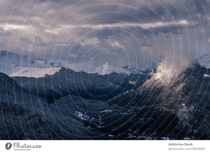 Blick auf den nebligen Berg Berge u. Gebirge Winter Nebel Natur Landschaft Schnee Ferien & Urlaub & Reisen Aussicht Himmel Hügel kalt Wald Wolken schön