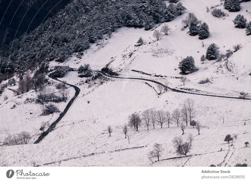 Leere Straße in den Bergen ausleeren ländlich Wald Berge u. Gebirge Winter Landschaft Natur Eis Schnee kalt Jahreszeiten weiß Wetter Laufwerk