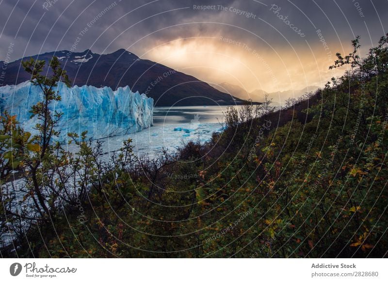 Wälder und Eis im See Gletscher Landschaft natürlich Wildnis wild frieren Wolkendecke Mittelgebirge Tourismus Beautyfotografie Wald Schneefälle