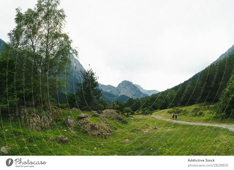 Frauen, die auf Landstraßen gehen laufen Straße ländlich Händchenhalten Freundschaft Rucksack Natur Mädchen Jugendliche schön Ferien & Urlaub & Reisen Tourismus