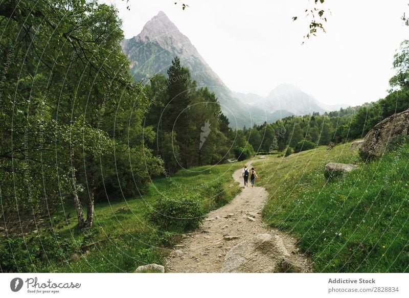 Frauen, die auf der Bergstraße spazieren gehen laufen Straße ländlich Freundschaft Rucksack Natur Mädchen Jugendliche schön Ferien & Urlaub & Reisen Tourismus