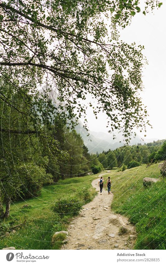 Frauen, die auf der Bergstraße spazieren gehen laufen Straße ländlich Freundschaft Rucksack Natur Mädchen Jugendliche schön Ferien & Urlaub & Reisen Tourismus