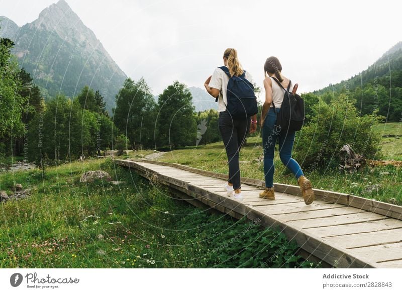 Frauen, die auf einem Holzweg in den Bergen spazieren gehen. laufen Straße ländlich Freundschaft Rucksack Natur Mädchen Jugendliche schön