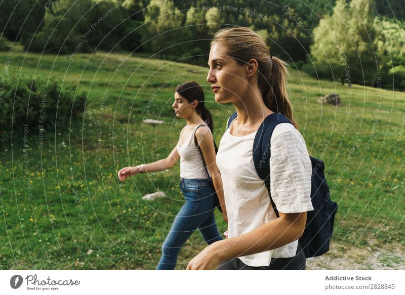 Frauen, die auf der Natur spazieren gehen laufen ländlich Freundschaft Rucksack Mädchen Jugendliche schön Ferien & Urlaub & Reisen Tourismus Ausflug Mensch Baum