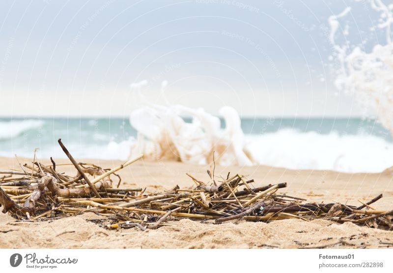 Strandgut Ferien & Urlaub & Reisen Ferne Meer Insel Wellen Umwelt Natur Landschaft Erde Sand Wasser Wassertropfen Himmel Gewitterwolken Herbst Wetter Wind Sturm