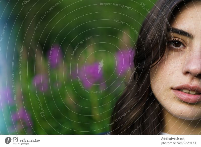 Zuschneiden hübsches Mädchen in der Natur Frau genießen lässig stehen Blick in die Kamera Porträt Jugendliche schön Model niedlich Wiese Gras Beautyfotografie