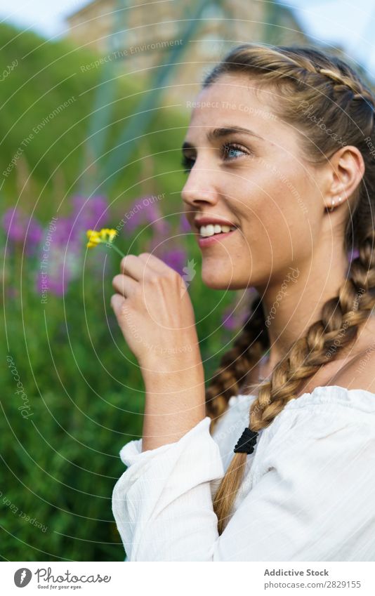 Hübsche Frau mit Blume schnüffelnd Natur Frühling Glück Jugendliche Sommer Beautyfotografie Mädchen attraktiv Erholung schön Fröhlichkeit natürlich geblümt