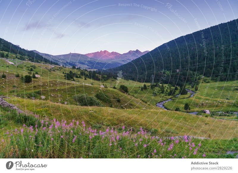 Wunderschöner Naturblick Tal Hügel Blume Wiese Landschaft Berge u. Gebirge Ferien & Urlaub & Reisen Wald Umwelt Aussicht Tourismus grün Wolken Beautyfotografie