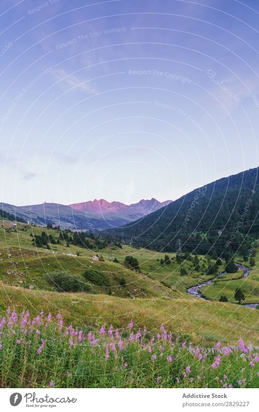 Wunderschöner Naturblick Tal Hügel Blume Wiese Landschaft Berge u. Gebirge Ferien & Urlaub & Reisen Wald Umwelt Aussicht Tourismus grün Wolken Beautyfotografie