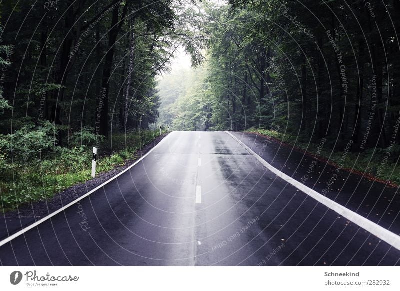 The Longest Way Umwelt Natur Landschaft Wasser Gewitterwolken Sonne Unwetter Wind Sturm Regen Baum Gras Sträucher Verkehrswege Straße Hochstraße dunkel hell