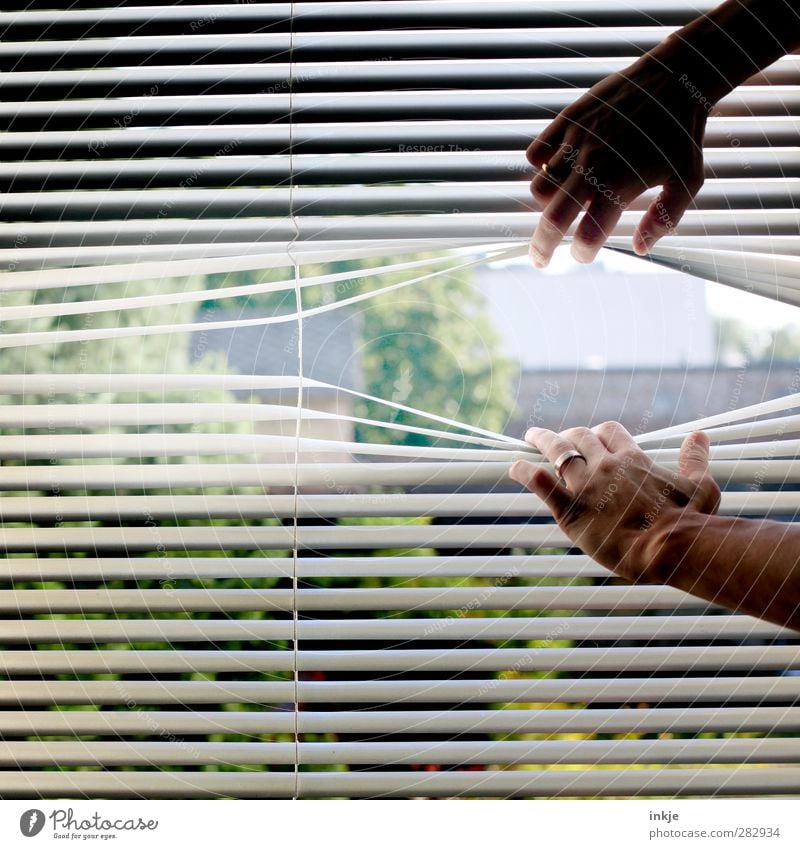 Raus hier! Häusliches Leben Hand 1 Mensch Garten Fenster Jalousie Lamellenjalousie Linie Streifen festhalten Gefühle Stimmung Neugier Unlust Fernweh Trägheit