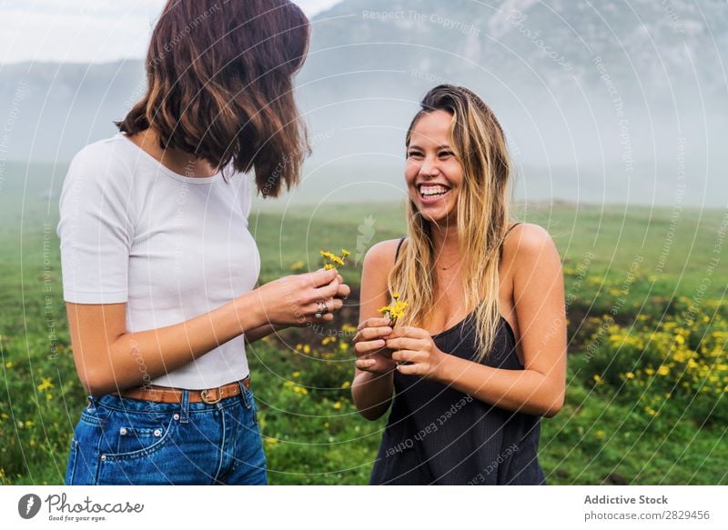 Lächelnde Mädchen mit Feldblumen Frau Wiese Blume Kommissionierung Glück lachen Zusammensein Freundschaft Erholung Berge u. Gebirge Natur Gras schön Jugendliche