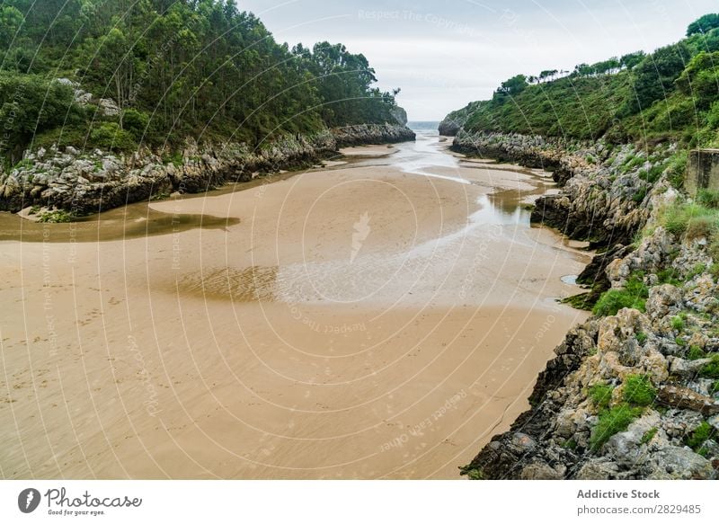 Sandstrand und Berge Küste Berge u. Gebirge nass Seeküste Landschaft Strand Ferien & Urlaub & Reisen Wasser Meer Natur schön Aussicht Tourismus tropisch grün