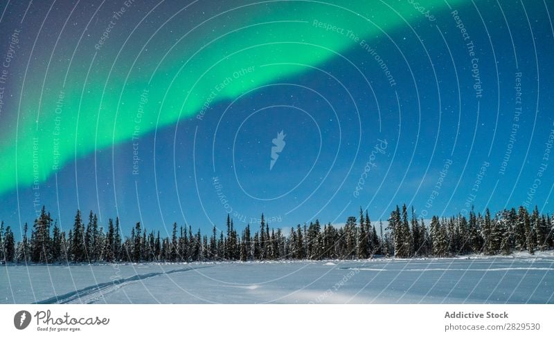 Nördliche Wälder bei Nacht Winter Natur kalt Norden Wald Polarlicht Stern Himmel Abenddämmerung bedeckt Schnee Jahreszeiten weiß Landschaft Eis Frost