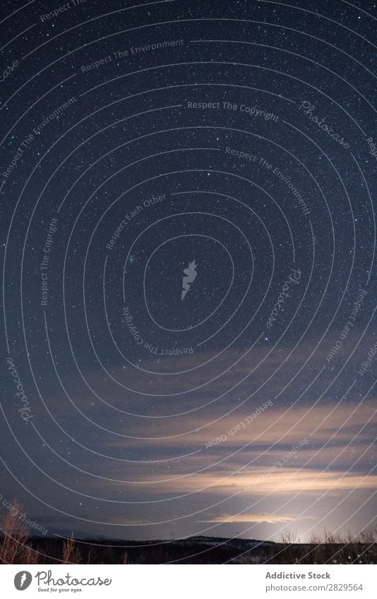 Sternennacht im Winter Natur kalt Norden Nacht Aussicht Schönes Wetter Schnee Jahreszeiten weiß Landschaft Eis Frost Ferien & Urlaub & Reisen Wald