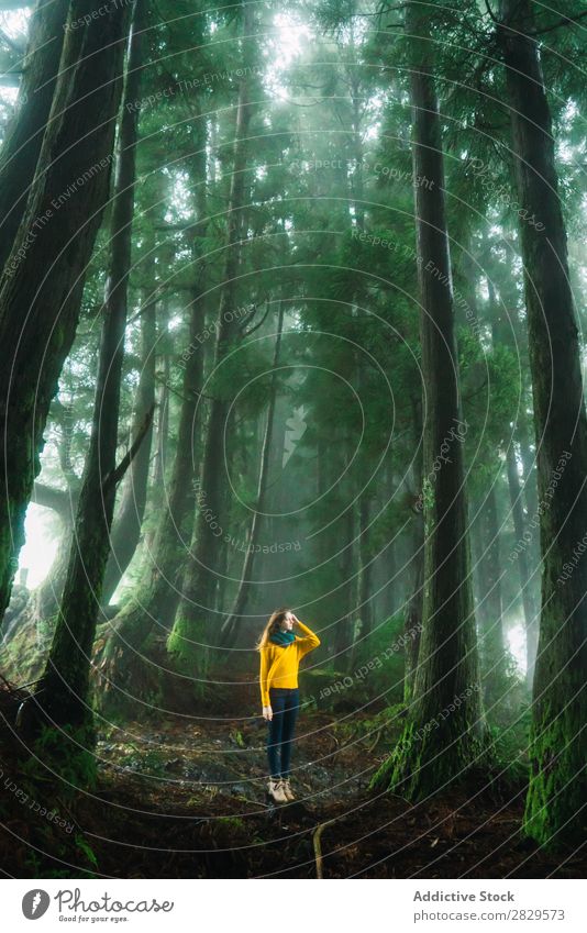 Frau schaut weg in den Wald. grün hübsch Ferien & Urlaub & Reisen Tourismus Einsamkeit Natur Landschaft Baum Rüssel Pflanze Park Jahreszeiten Nebel Umwelt Szene