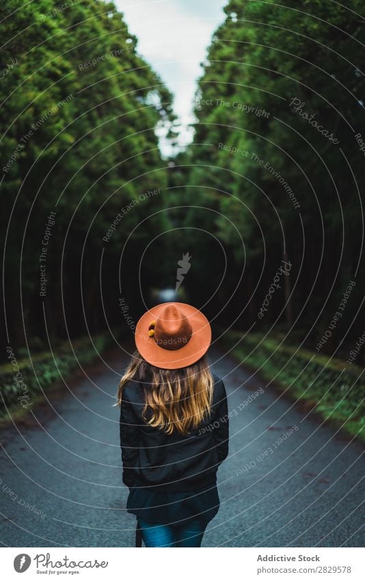 Frau mit Kamera im Wald Fotograf grün Natur Fotokamera Hut hübsch Jugendliche Straße Asphalt Lächeln Umwelt Blick in die Kamera natürlich Jahreszeiten Pflanze