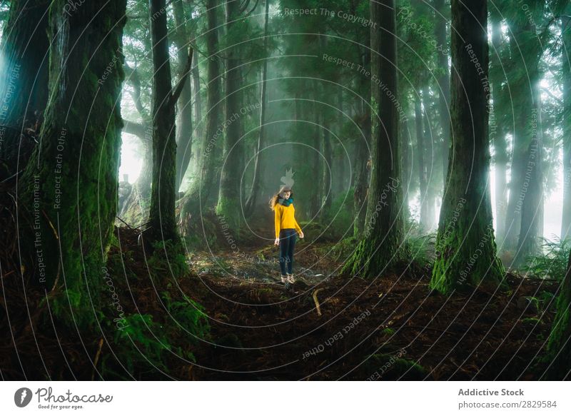 Frau, die im Wald nach unten schaut. grün hübsch Ferien & Urlaub & Reisen Tourismus Einsamkeit Natur Landschaft Baum Rüssel Pflanze Park Jahreszeiten Nebel