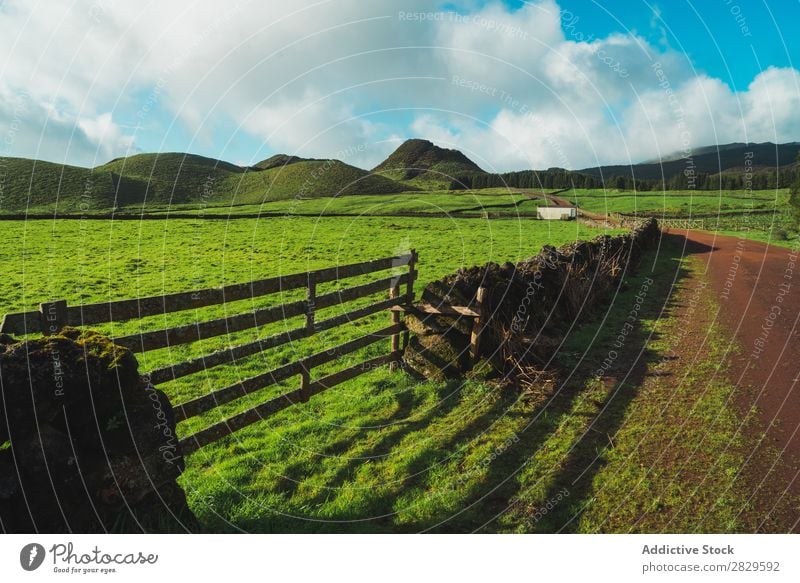 Grüne Wiese und Hügel Feld grün Natur Frühling Zaun Holz Sommer Gras Landschaft Landwirtschaft ländlich Sonnenlicht Bauernhof schön Rasen Umwelt natürlich