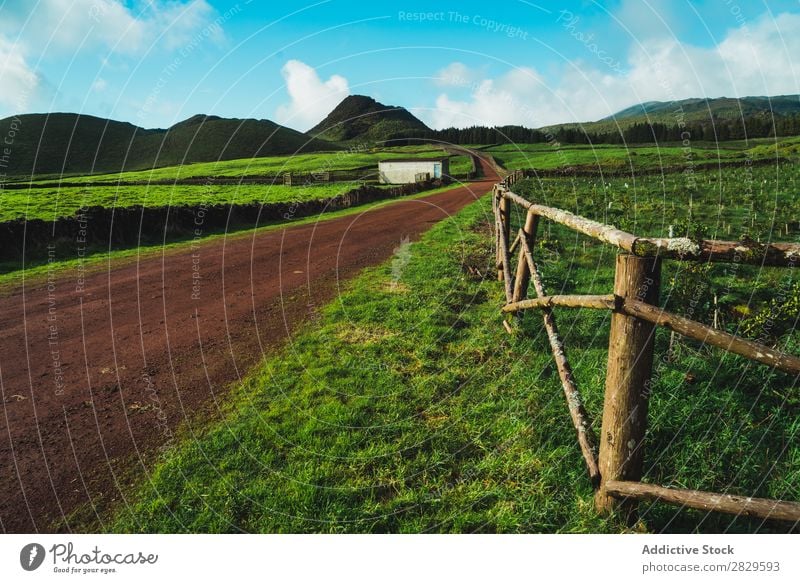 Grüne Wiese und Hügel Feld grün Natur Frühling Zaun Holz Sommer Gras Landschaft Landwirtschaft ländlich Sonnenlicht Bauernhof schön Rasen Umwelt natürlich