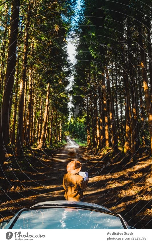 Frau mit Karte bei Auto im Wald Tourist grün PKW anlehnen Natur Umwelt hübsch Landkarte lesen Navigation verirrt natürlich Jahreszeiten Pflanze Blatt Licht