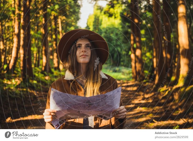 Frau mit Karte im Wald Außenaufnahme Landschaft Blatt verirrt Farbe Pflanze Tag natürlich Tourist wild schön Jahreszeiten frisch Frühling mehrfarbig