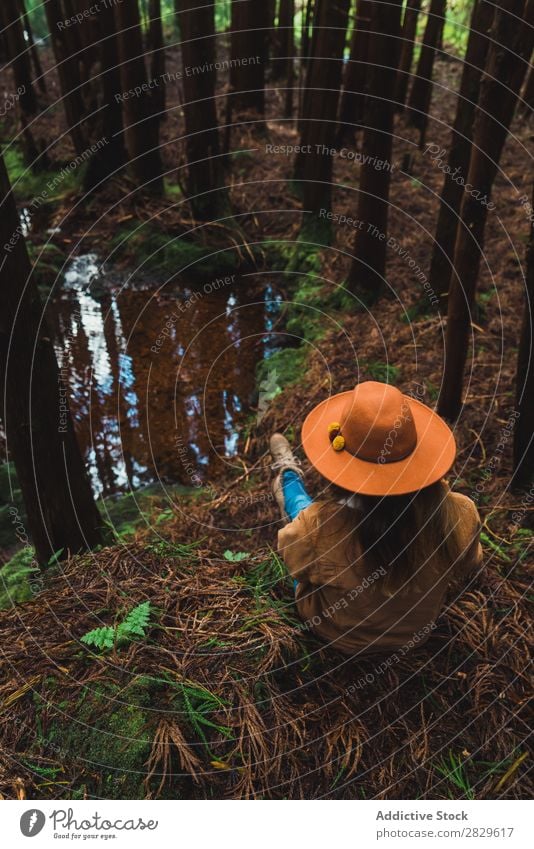 Frau im grünen Wald sitzend Tourist Natur aussruhen Umwelt hübsch natürlich Jahreszeiten Pflanze Blatt Licht frisch hell Tag Sonnenlicht Holz Wachstum Rüssel