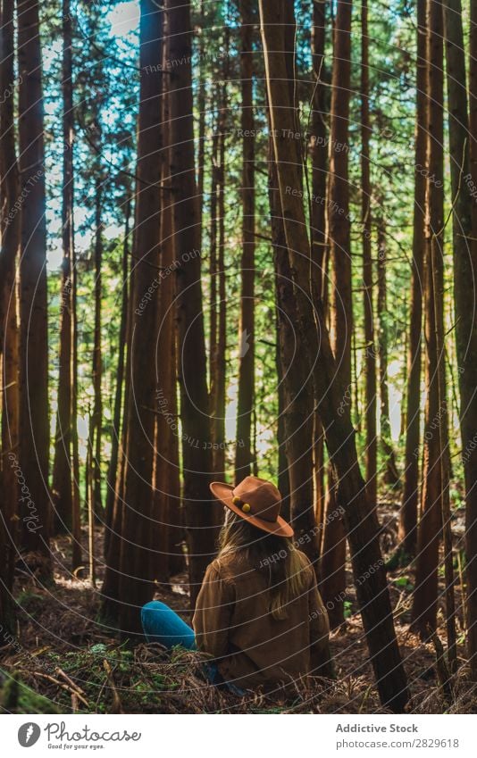 Frau im grünen Wald sitzend Tourist Natur aussruhen Umwelt hübsch natürlich Jahreszeiten Pflanze Blatt Licht frisch hell Tag Sonnenlicht Holz Wachstum Rüssel